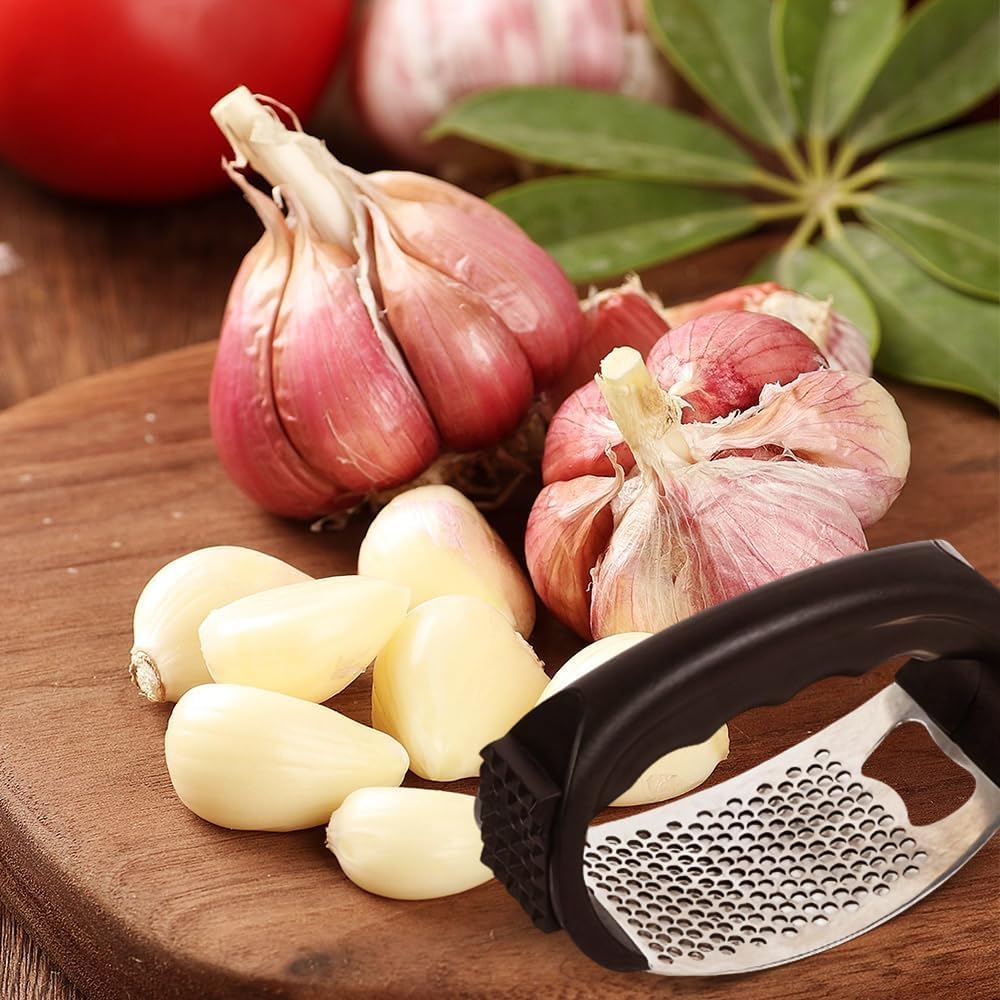 Stainless Steel Garlic Press – Easy Handheld Garlic Masher
